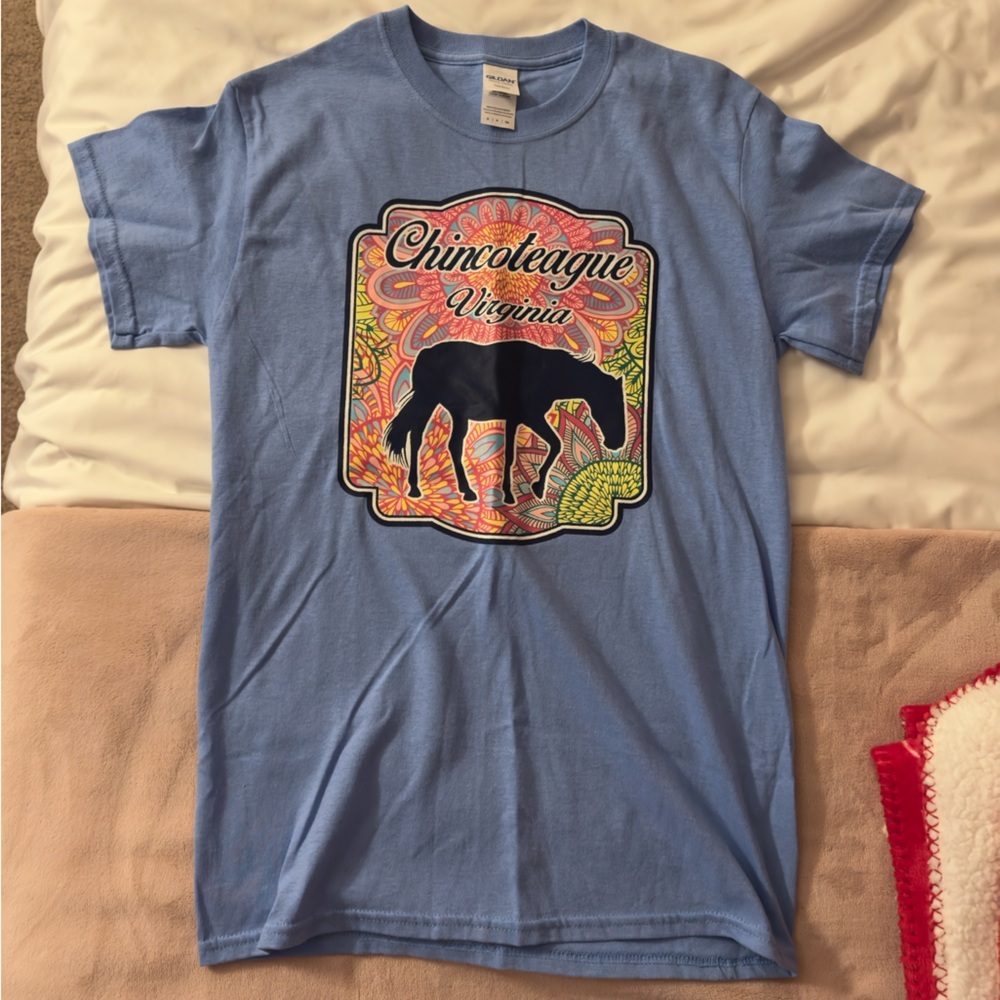 Chincoteague Virginia Graphic Shirt